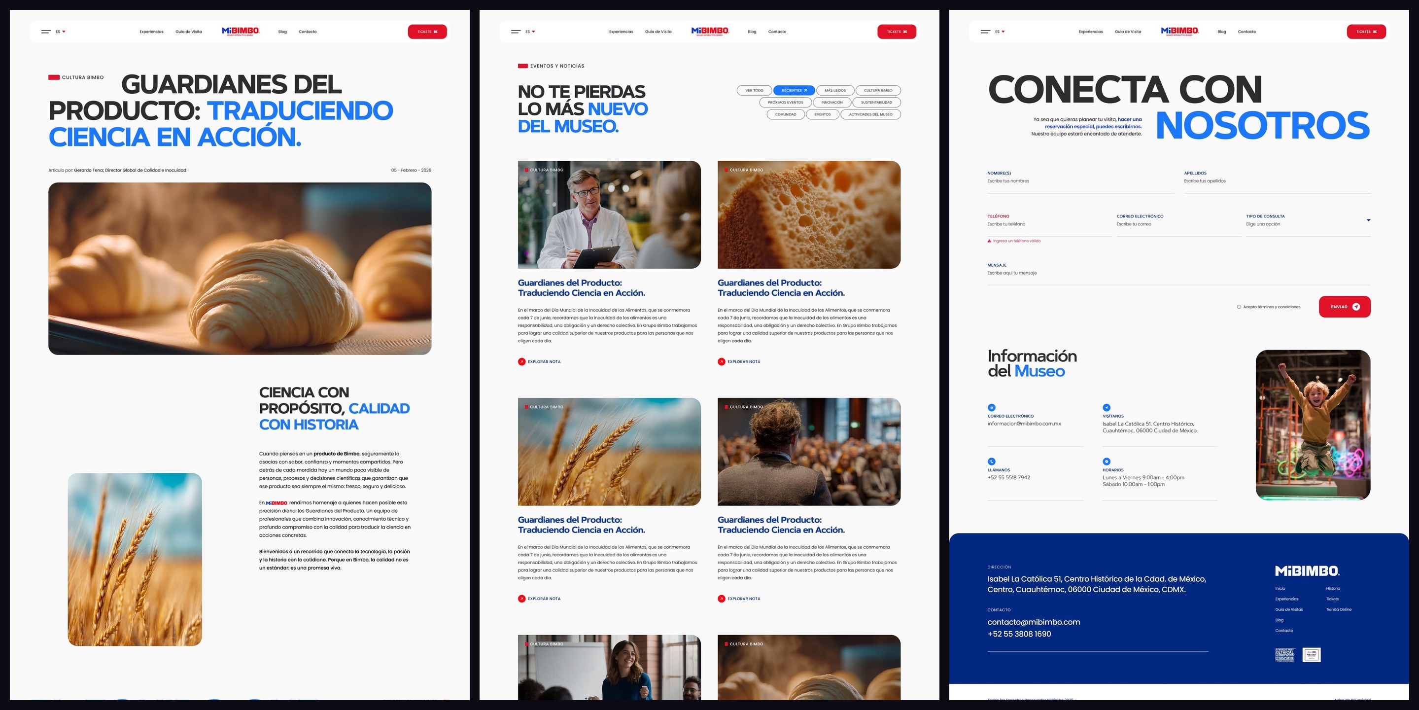MiBIMBO website — Blog, Noticias, Contacto