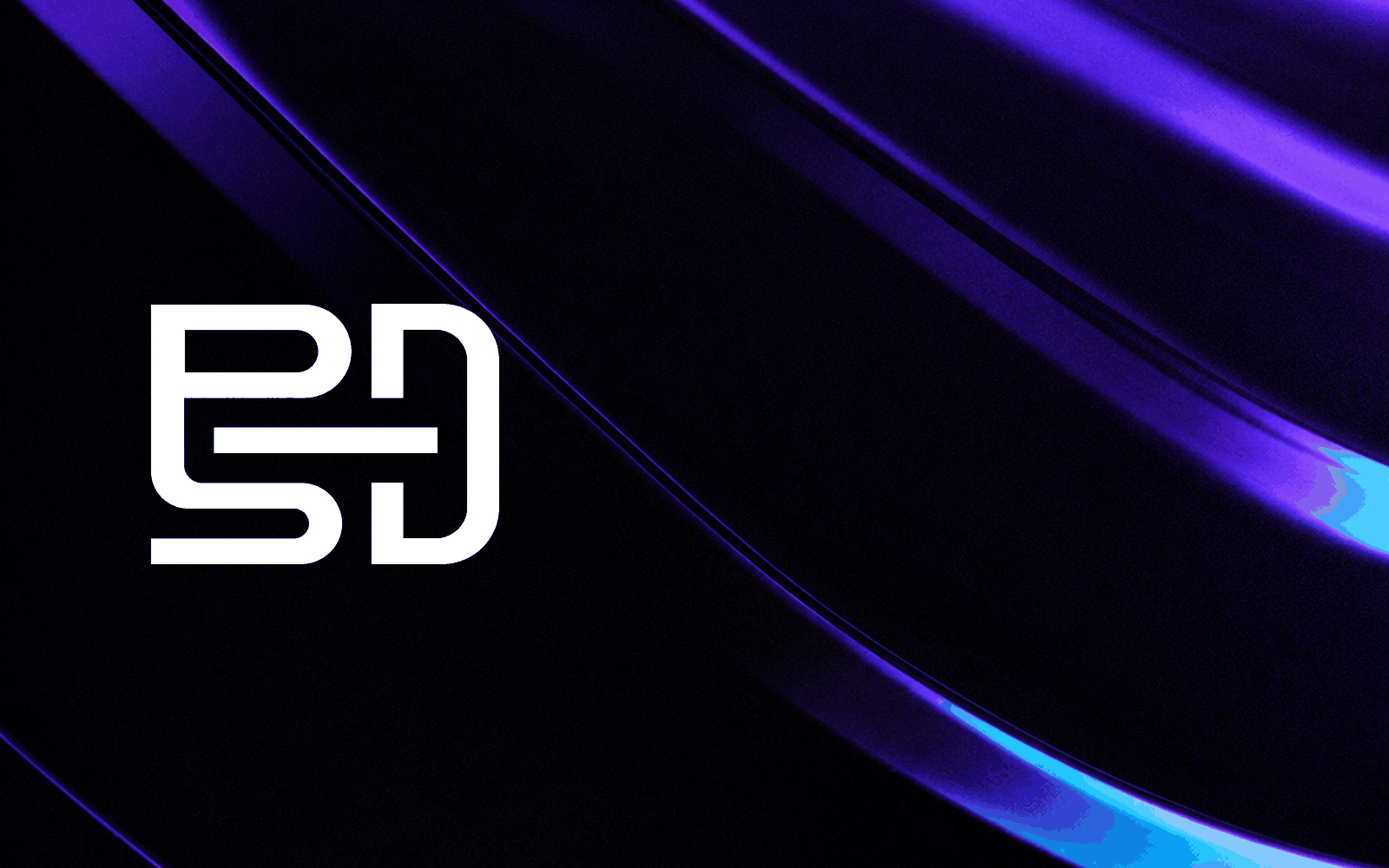 PSD Brand Identity